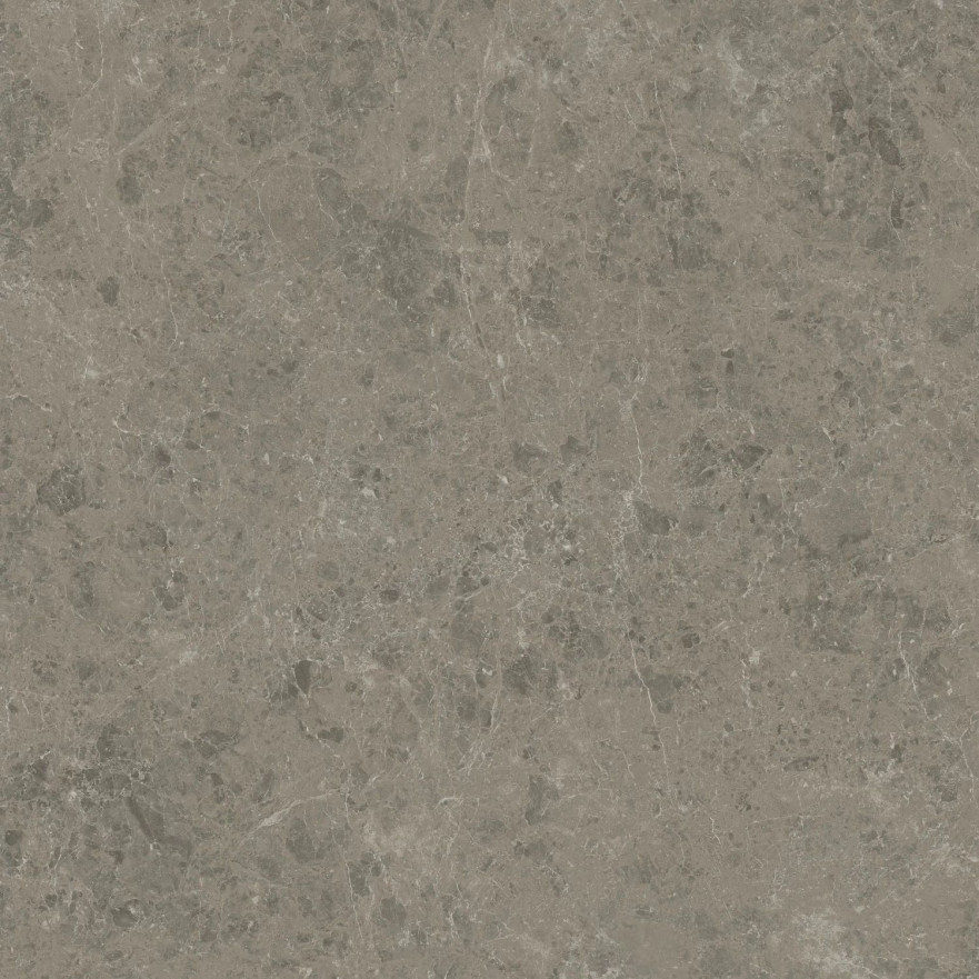 Керамогранит Marvel Meraviglia Grigio Elegante Velvet AJIL (120x120) AJIL AJIL