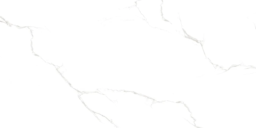 Sisam White Sisam White Glossy (60x120) RP-203102 RP-203102