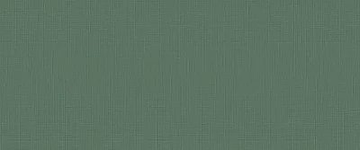 Керамическая плитка I360 Lilysuite Green 50x120