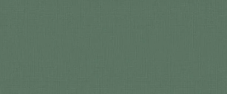 Керамическая плитка I360 Lilysuite Green 50x120