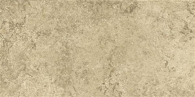 Anika Olive 30x60
