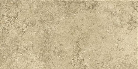 Anika Olive 30x60