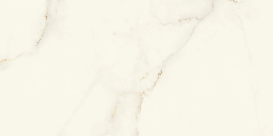 Marvel Calacatta Apuano 60x120 Matt AFWI AFWI