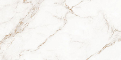 Blanc Statuario Gold Ductile 60x120