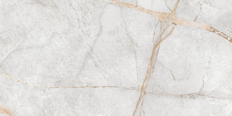 Керамогранит Special Marmo Gray (60x120) 60120PEC15P 60120PEC15P