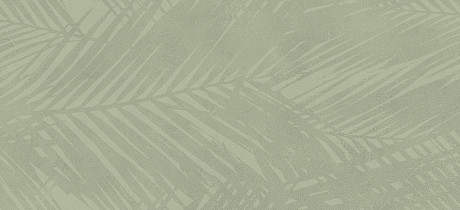 Boost Expression Life Olive AZ6A