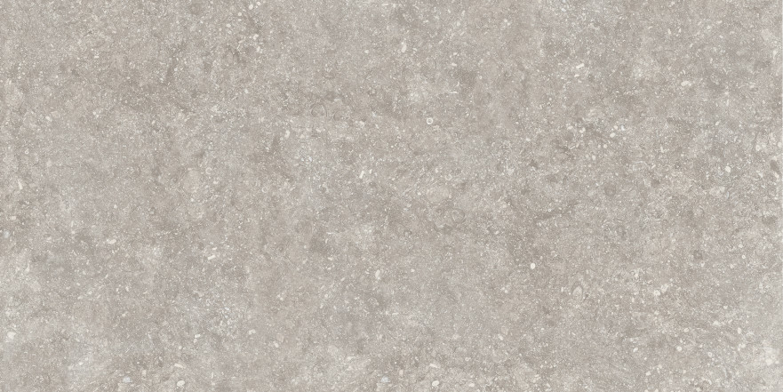 Керамогранит Rue d.s.cloud greige ret RUE920R (44.5x90) RUE920R