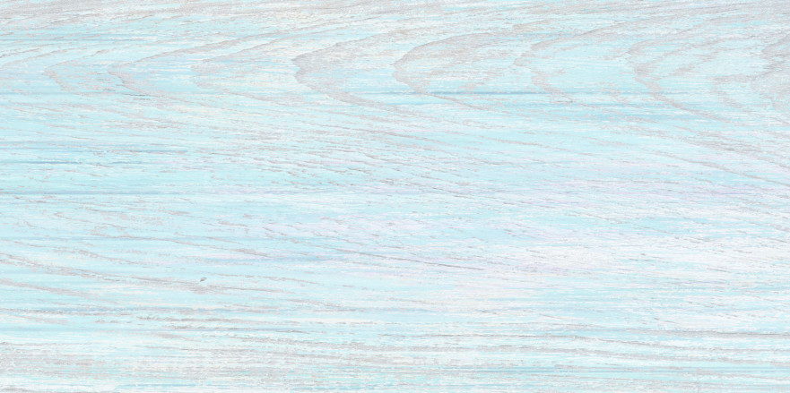 Плитка настенная North (24.9x50) TWU09NRT606 TWU09NRT606