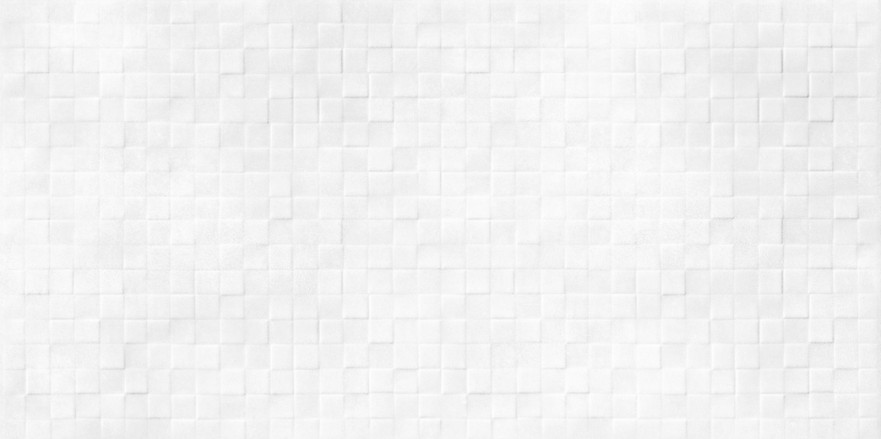 Плитка настенная Santos White (24.9x50) WT9SOS00 WT9SOS00