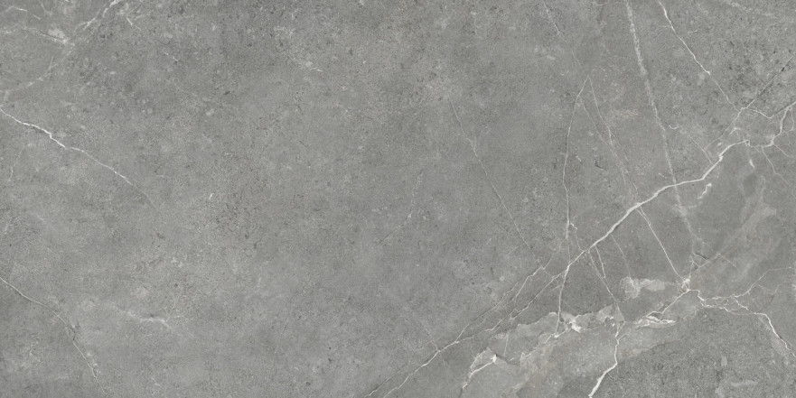 Керамогранит Titanium Gris (60x120) GP60120TIA05M GP60120TIA05M