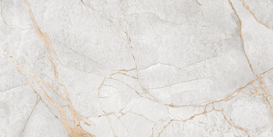 Керамогранит Special Marmo Gray (60x120) 60120PEC15P 60120PEC15P