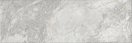 Image Silver 616 32,5х100