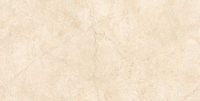 Керамогранит MA02х10 непол. рект. (60x120)