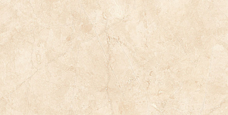 Керамогранит MA02х10 непол. рект. (60x120)