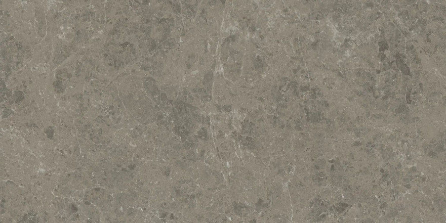 Керамогранит Marvel Meraviglia Grigio Elegante AJIU (60x120) AJIU