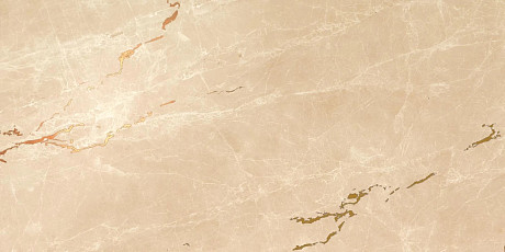Marvel Elegant Sable Gold Vein 2 (40x80) 8ES2