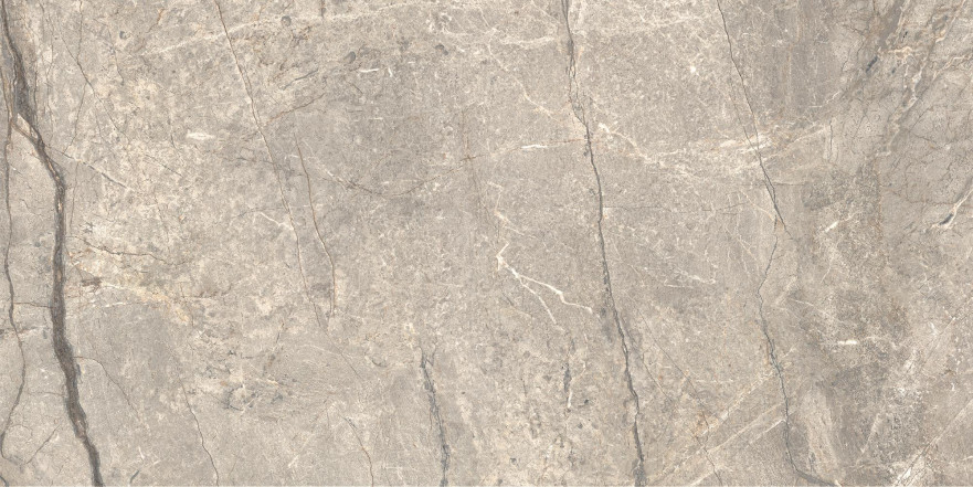 Керамогранит Anima Futura Amazing Silver Matt (60х120)