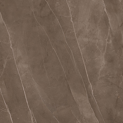 Напольная плитка Classico Amani Marron 1c (42x42) 915828