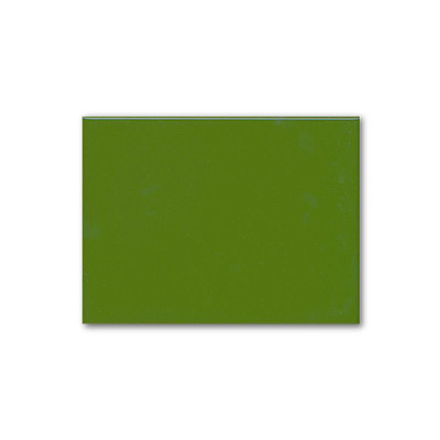 Керамическая плитка Ceramica Ribesalbes Zocalo Cenefa Liso Verde (15x20) PT00286