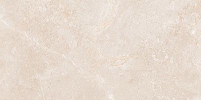Керамогранит Italo Brown 60*120