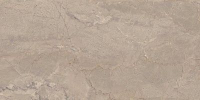 Керамогранит BR02 непол. рект. (60x120)