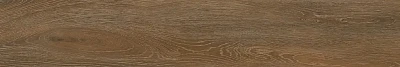 Керамогранит Forest Ocher (19,4х120) непол. FR05