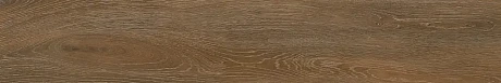 Керамогранит Forest Ocher (19,4х120) непол. FR05