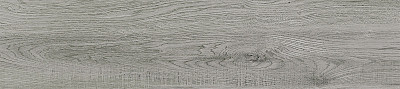 Керамогранит Sherwood (20x90) GFA92SWD07R