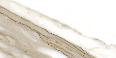 Керамогранит Calacatta NPlus 33 (60x120)