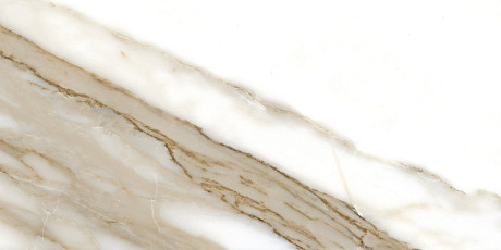 Керамогранит Calacatta NPlus 33 (60x120)