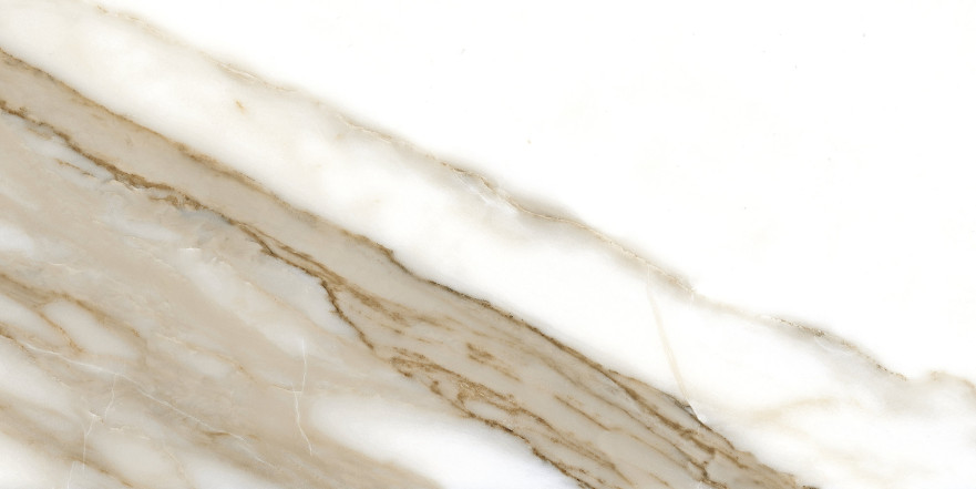 Керамогранит Calacatta NPlus 33 (60x120)