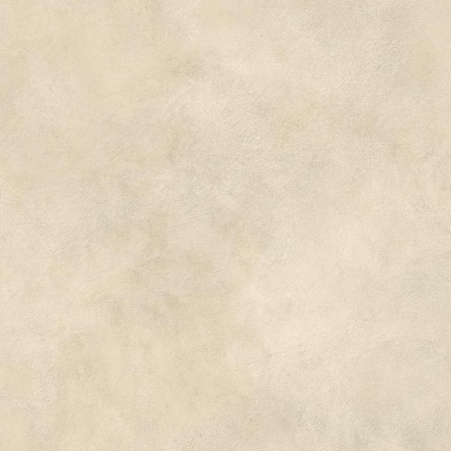 Boost Expression Camel 80x80 AYVI AYVI