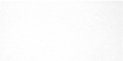 Плитка настенная Monocolor (24.9x50) TWU09MNR020