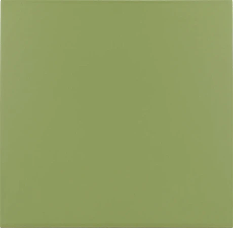 Керамогранит Rivoli Green 20x20x0,83
