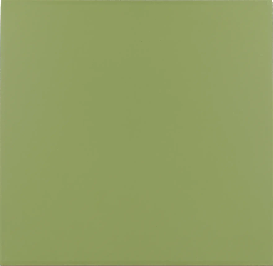 Керамогранит Rivoli Green 20x20x0,83 30716
