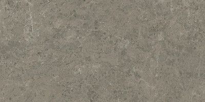 Керамогранит Marvel Meraviglia Grigio Elegante Lapp. AJIA (120x240)