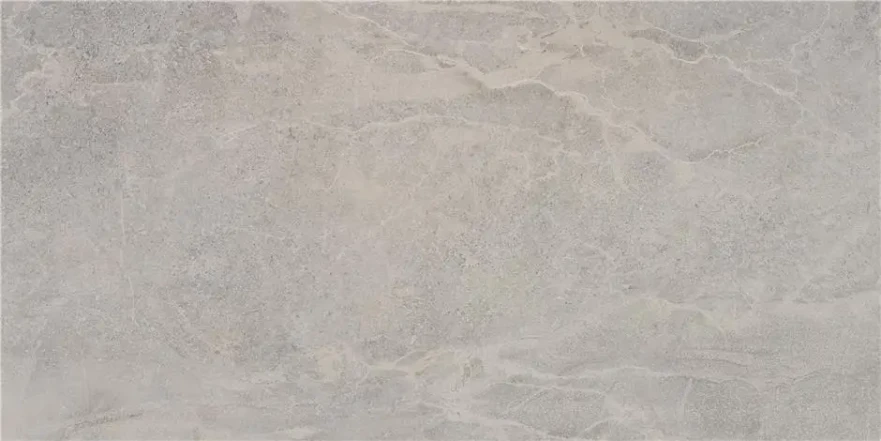 Lithos Grey Mt (60x120) CAN5LITHDDPA