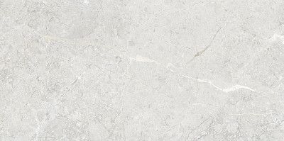 Керамогранит Silver Glossy 111.11P.1111 (60x120)