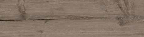 Walnut (20x120) 204