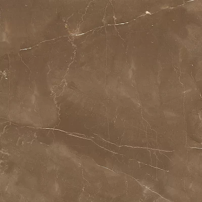 Armani Brown 60x60 Satin