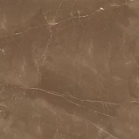 Armani Brown 60x60 Satin