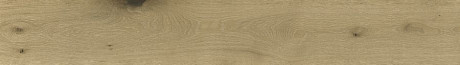 Kora Cognac 22.5x160