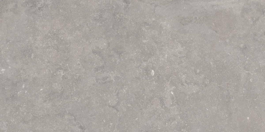 Керамогранит 0012928 Bruges Grey Nat R (60x120) 0012928