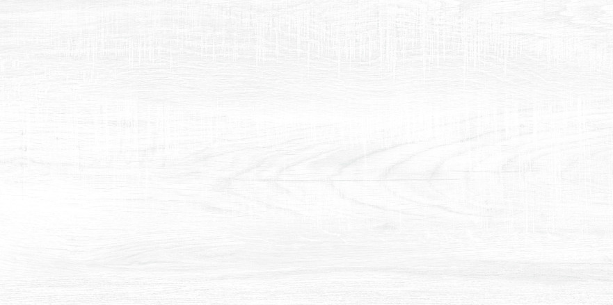 Плитка настенная Briole White (24.9x50) WT9BRE00 WT9BRE00