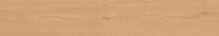 Entice Pale Oak Natural  20x120 Grip A842 A842