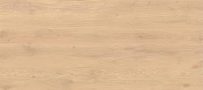 Log Bright Oak 120x278 - 6mm AX28