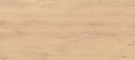 Log Bright Oak 120x278 - 6mm AX28