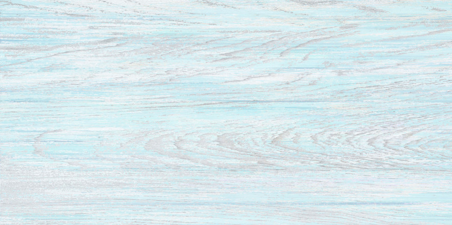 Плитка настенная North (24.9x50) TWU09NRT606 TWU09NRT606