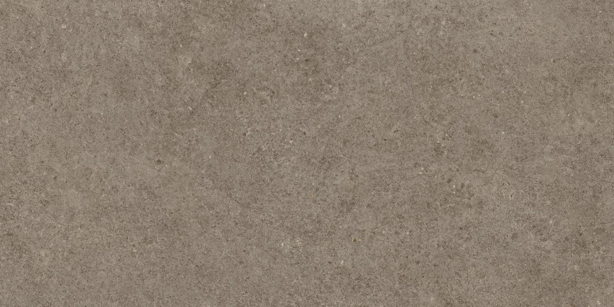 Boost Stone Taupe 60x120 Grip A66V A66V