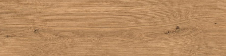 Log Amber Oak Forest 30x120  - 20mm AX4C